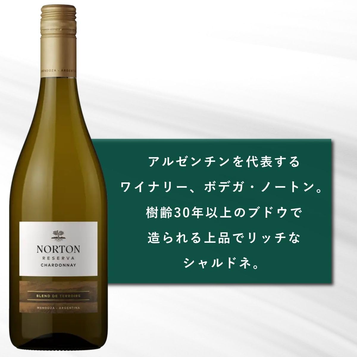 Amazon.co.jp: ボデガ・ノートン シャルドネ・レゼルヴァ [ 白ワイン